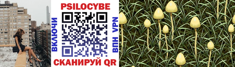 Псилоцибиновые грибы ЛСД  цены наркотик  Калининград 